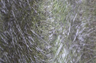 Guisborough fibreglass roof work